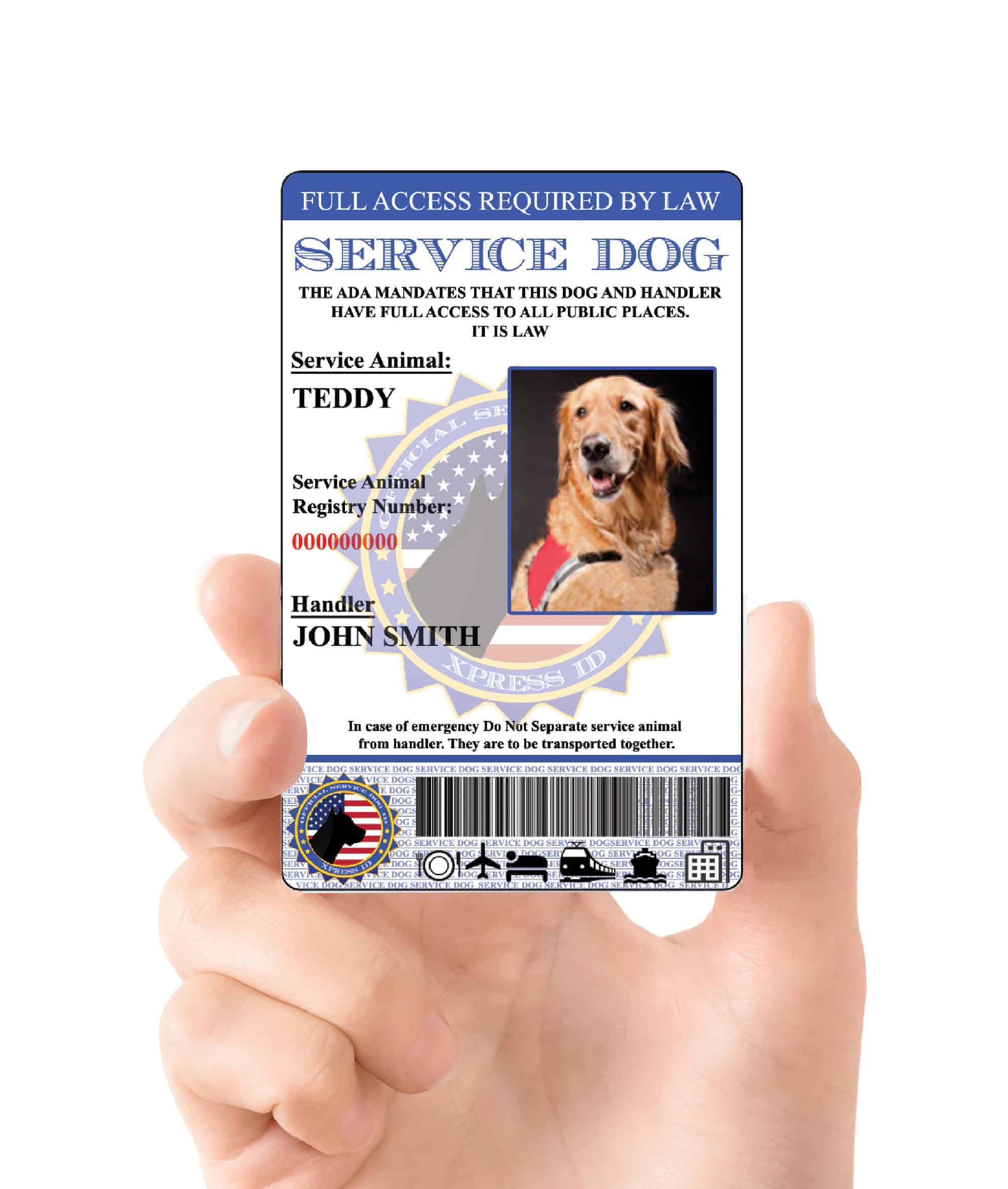 real service dog id card vs fake