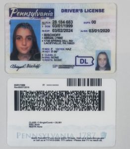 realistic fake id