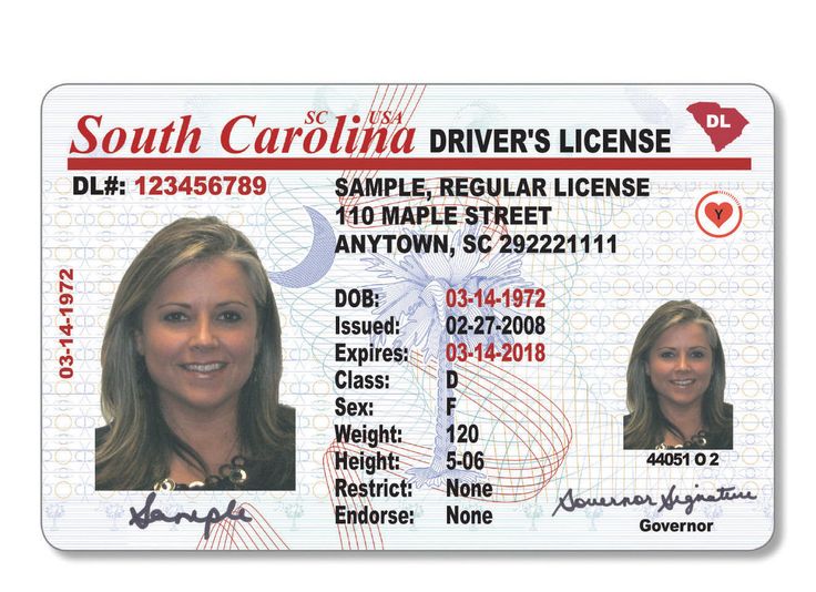 South Carolina Fake Id Charges