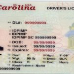 south carolina fake id