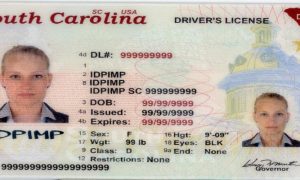 south carolina fake id