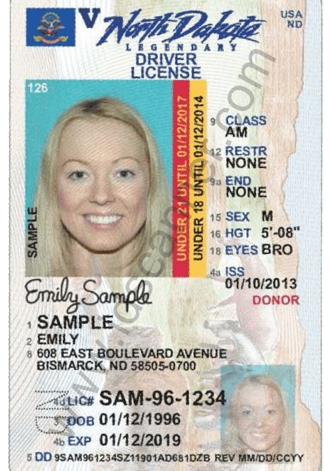 South Dakota Fake Id Website