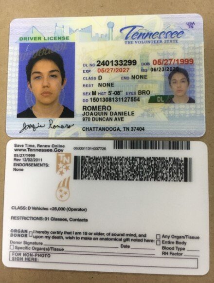 Tennessee Fake Id Website