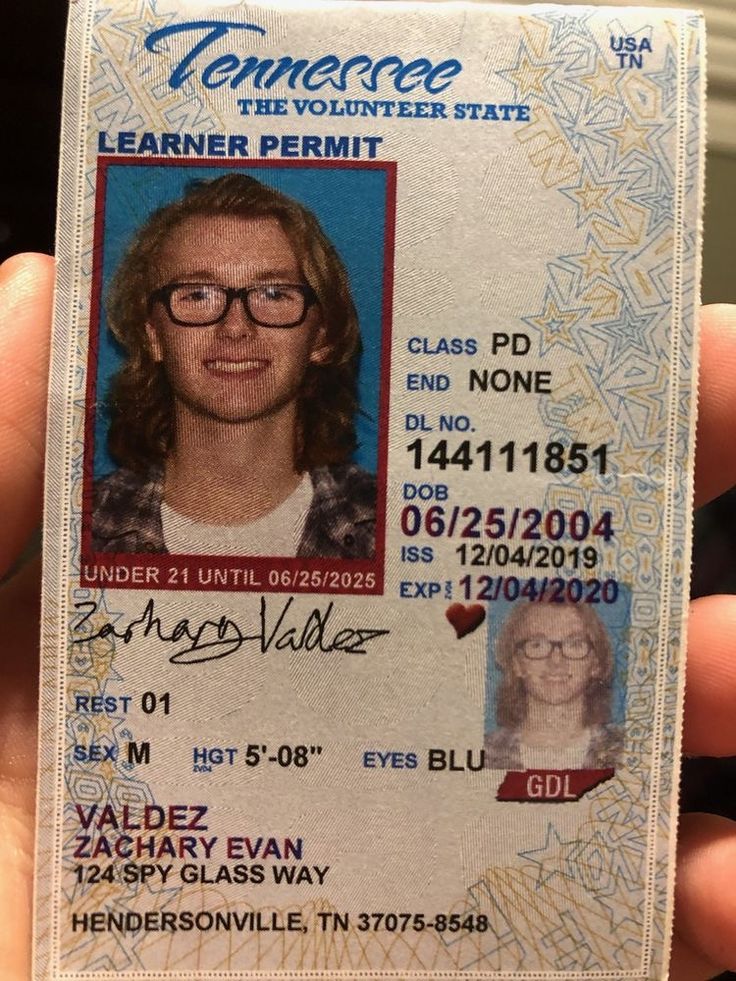 Tennessee Scannable Fake Id Front And Back