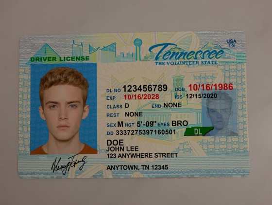 Tennessee Scannable Fake Id Generator