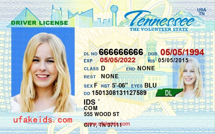 Tennessee Scannable Fake Id Online