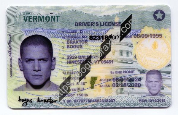 Vermont Fake Id Charges