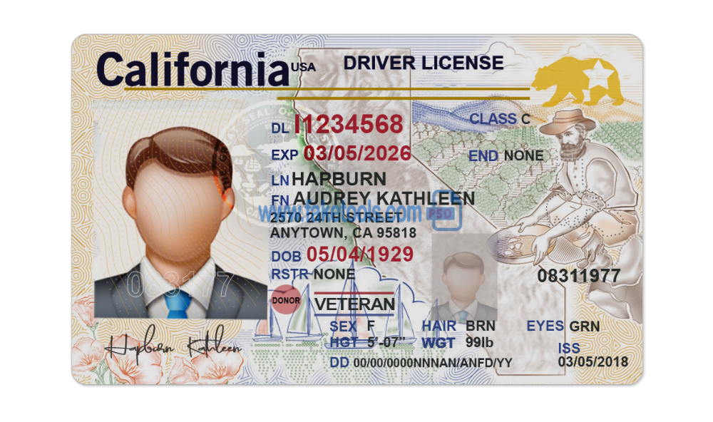 Vermont Fake Id Templates