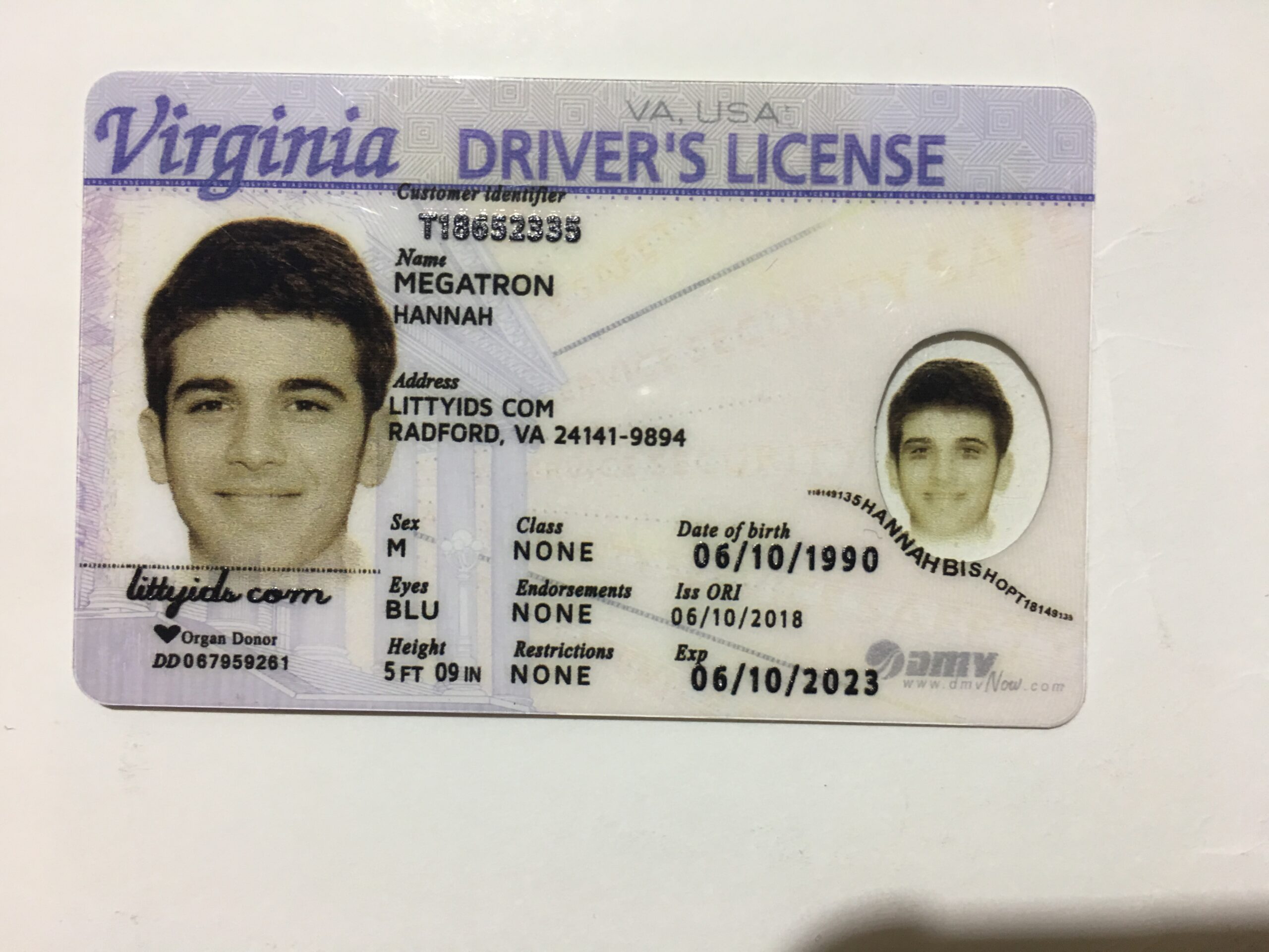 virginia fake id vs real