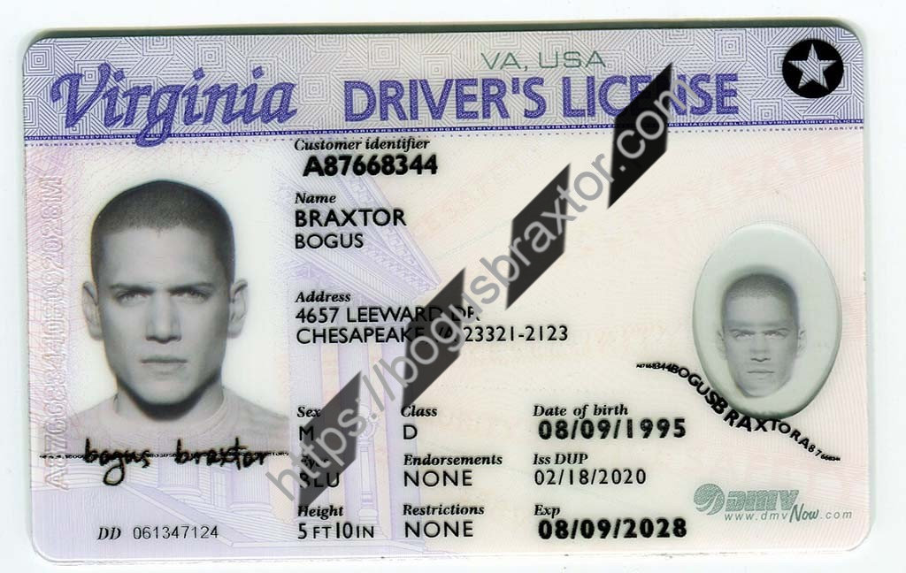 Virginia Fake Id Website