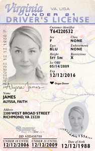 Virginia Fake Id Website