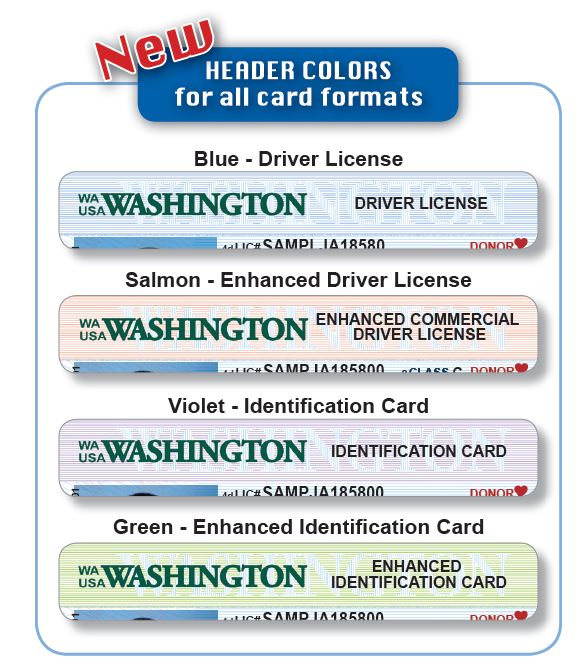 Washington Fake Id Online