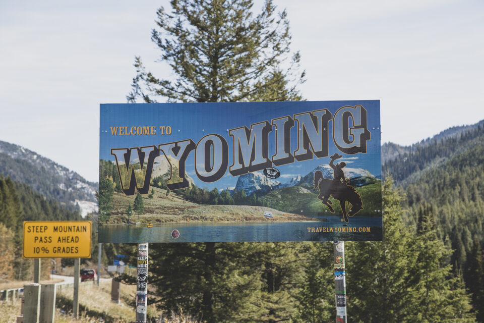 Wyoming Fake Id Reddit